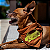 Bandana Pet Ursinho de Toca - Imagem 2