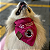 Bandana Pet Bordado NÃO TOQUE - Imagem 2
