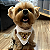 Monte uma bandana com o rosto personalizado do seu pet - Imagem 2