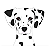 Monte uma bandana com o rosto personalizado do seu pet - Imagem 9