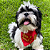 Bandana meu primeiro natal - Imagem 1