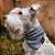 Bandana Pet Xadrez Atacado - Varias Cores - Imagem 3