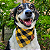 Bandana Pet Xadrez Atacado - Varias Cores - Imagem 1