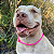 Colar Pet Paracord Rosa neon com berloque surpresa - Imagem 2