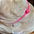 Super Shinebox colar verde, pink e rosa neon com berloque supresa - Imagem 10