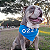 Bandana Azul com nome 3D - Imagem 1