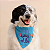 Bandana Stitch com nome opcional - Imagem 1