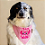 Bandana Angel com nome opcional - Imagem 1