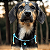Colar Pet Paracord Azul bebê com ponta e berloque surpresa - Imagem 1
