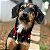 Colar Pet Paracord Vermelho com inicial - Imagem 1