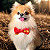 Lacinho ou gravata Harry Potter - Imagem 1