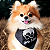 Bandana Harry Potter - Imagem 1