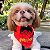 Bandana Harry Potter - Imagem 1