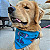 Bandana Stitch - Imagem 1