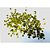 Artigo para Decoração Confetti Balões PARTY 20G Pacote com 12 - Imagem 1
