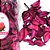 Artesanato POT Pourri Folhas Secas 60G(S) PCT com 12 - Imagem 6