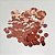 Artigo para Festa Confete Redondo Rose GOLD 10G PCT com 06 - Imagem 2