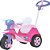 Veículo para Bebê BABY Trike Evolution Rosa - Imagem 2