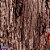 TNT Estampado 1,40M 40G Tronco de Arvore BO-25MTS - Imagem 1