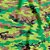 TNT Estampado Camuflado 1,40M 40G - Rolo de 25 Metros - Imagem 1
