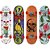 Skate Iniciante Sortido - Imagem 1