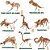 QUEBRA-CABEÇA de Madeira 3D Dinossauros - 8 Modelos - Imagem 2