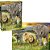 QUEBRA-CABEÇA Cartonado THE BIG Five 1000 Peças - Imagem 1