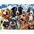 QUEBRA-CABEÇA Cartonado Selfie PETS P500 - Imagem 4
