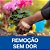 Curativos Nexcare Duo Joe com 24 Unidades - Imagem 6