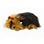 Perfect PETZZZ Filhote Cachorro Yorkshire - Imagem 2
