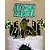 Papel Laminado Lamicote A4 250G Verde - Pacote com 10 Folhas - Imagem 3