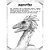Livro Infantil para Colorir Dinossauros – 100 Páginas - Imagem 3