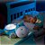 FISHER-PRICE Newborn TOYS Projetor Hipopótamo - Imagem 2