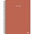 Caderno Espiral 1/4 Capa Dura WORLD CLASS 80F PCT com 10 - Imagem 5