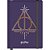 Caderno Anotacões HARRY Potter 14X21CM 80FLS - Imagem 3