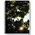 Caderno 15X1 Capa Dura NEW 300 Folhas Pacote com 02 - Imagem 3