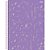 Caderno 10X1 Capa Dura Lavender 160F PCT com 04 - Imagem 9
