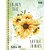 Caderno 10X1 Capa Dura Belliz ALL 160 Folhas Pacote com 4 - Imagem 1