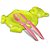 Brincando de Casinha: Frigideira com Acessórios - KIT de Cozinha Infantil - Imagem 4