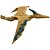 Boneco e Personagem JW Pteranodonte 30CM - Imagem 2