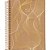 Caderno 10X1 Capa Dura KRAFT GOLD 160 Folhas - Pacote com 04 - Imagem 4