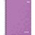 Caderno 10X1 Capa Dura Lunix 160 Folhas - Pacote com 04 - Imagem 3