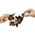 Boneco e Personagem JW F CHANGERS-T-REX Transforma - Imagem 5