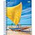 Caderno Espiral 1/4 Capa Dura Brasilidade 96 Folhas - Pacote com 05 - Imagem 6