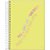 Caderno 10X1 Capa Dura BRIGHT 160 Folhas – Pacote com 4 Unidades - Imagem 5