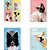 Caderno 01X1 Capa Dura MY PETS 80 Folhas Pacote com 04 - Imagem 1