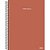 Caderno 10X1 Capa Dura WORLD CLASS 160 Folhas PCT com 04 - Imagem 4