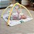 FISHER-PRICE Newborn TOYS Ginásio Primeiros Sentidos - Imagem 4