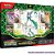 Jogo de Cartas Pokémon EV4.5 BOX Iniciais PAL - Imagem 3