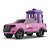 Carrinho PET Delivery PICK-UP SPORT RS - Imagem 1